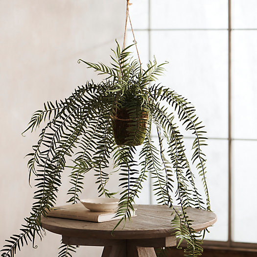 View larger image of Faux Hanging Fern