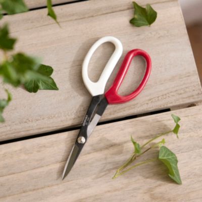 Garden Snips