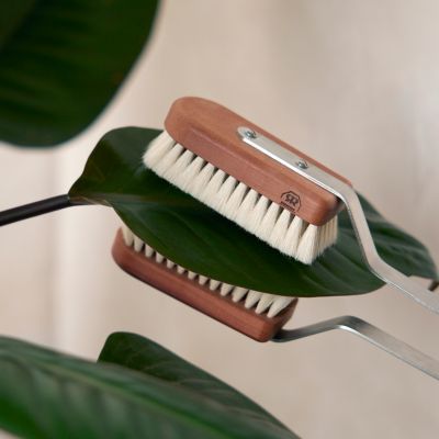 House Plant Leaves Brush