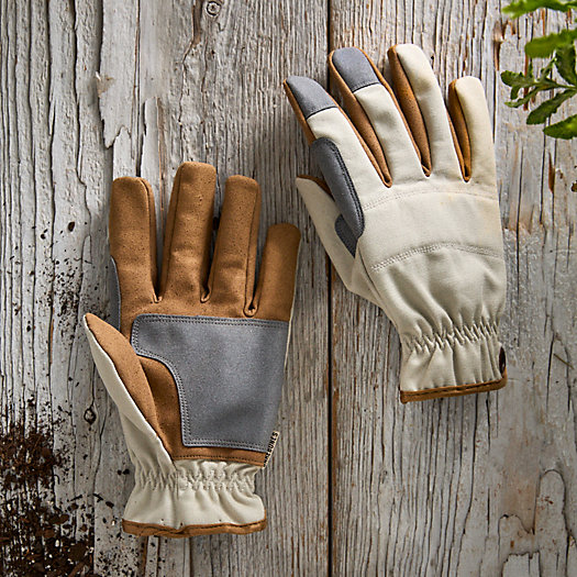 View larger image of Barebones Padded Gardening Gloves