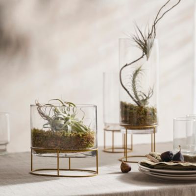Glass + Gold Stand Terrarium