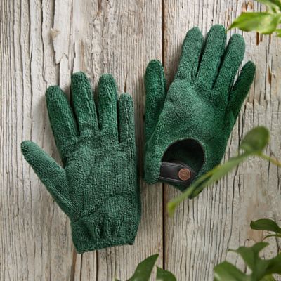 Buy Microfiber Dusting Gloves for Healthier Plants