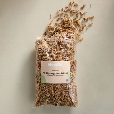 Dry Sphagnum Moss-Bulk 140343 – FittoniaMania