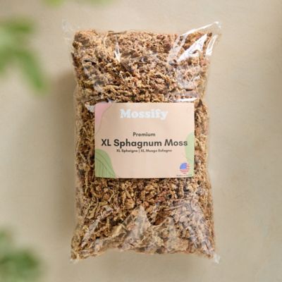 Buy Sphagnum Moss for sale | 20% Retail