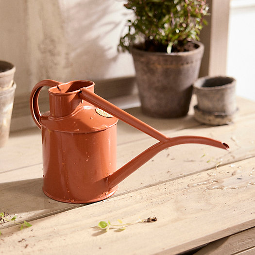 View larger image of Haws 1 Liter Watering Can