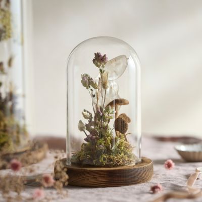 Terrarium Imaginarium on Instagram: Little garden path terrarium