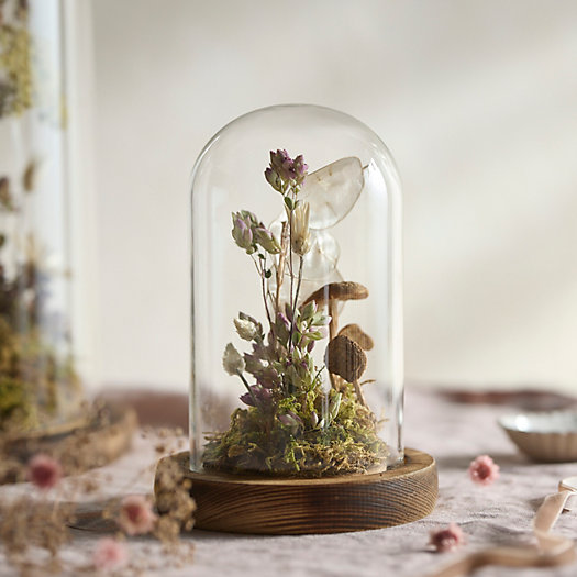 View larger image of Right Side Hand Flora + Fauna Terrarium, Mini