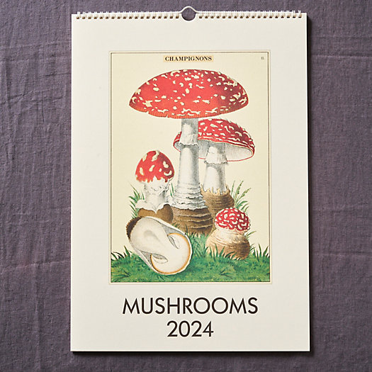 View larger image of Mushrooms 2024 Wall Calendar
