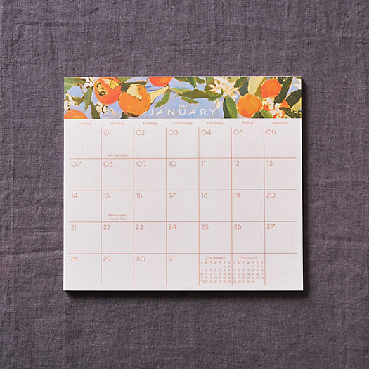 View larger image of Seedlings 12 Month Calendar, Orange Grove