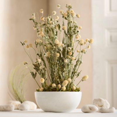 Dried Gomphrena Bunch