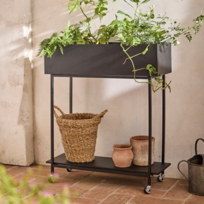 Plant Trays + Dishes  Garden Trays, Dishes + Plant Stands - Terrain