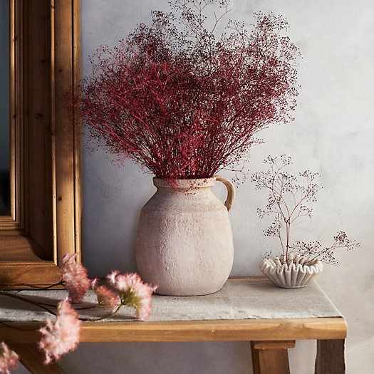 View larger image of Dried Gypsophila Bunch