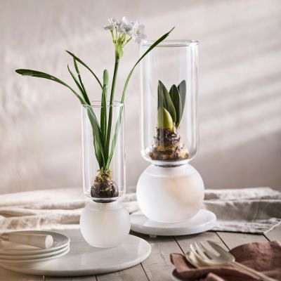 Frosted Glass Bulb Vase