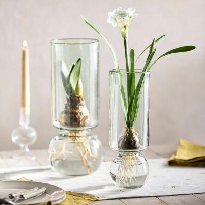 Recycled Glass Cylinder Bulb Vase