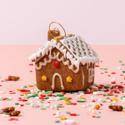 Tiny Gingerbread Home Kit