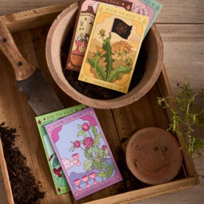 Sow the Magic Edible Flower Seed Collection