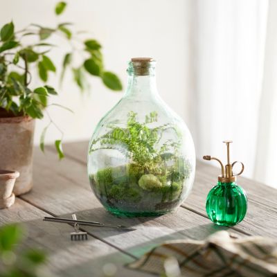 Bottle Terrarium Grow Kit Terrain