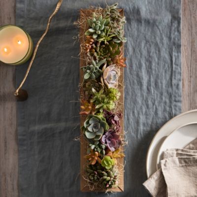 Sun-Loving Succulent Centerpiece Planter
