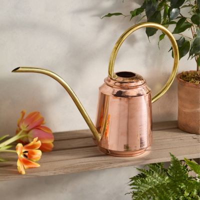Low Copper + Brass Watering Can Terrain