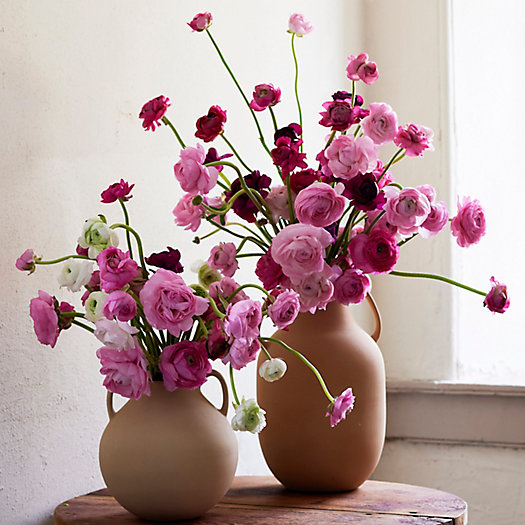 View larger image of Shop the Look: White + Pink Ranunculus in an Earthenware Jug Vase