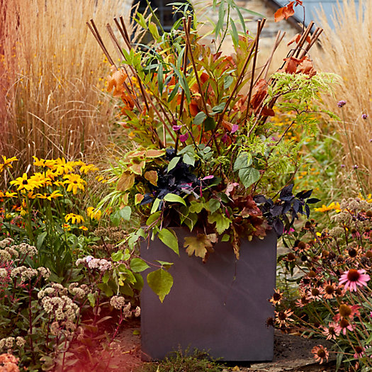 View larger image of Shop the Look: A Harvest Planter