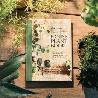The Terrain Houseplant Book Launch Party (Book Included)