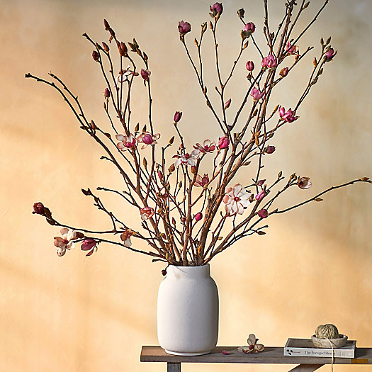View larger image of Shop the Look: Tulip Magnolia Branches in Ceramic Vases 