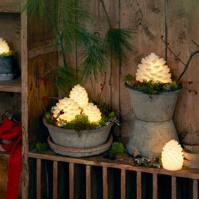 Shop the Look: A Glowing Potted Pine Cone