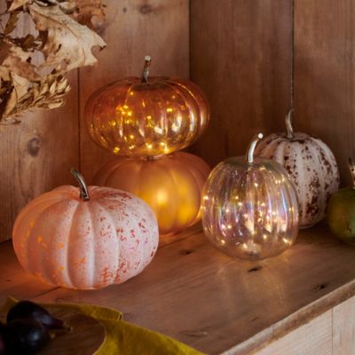 Shop the Look: The Pumpkin Patch