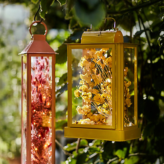 View larger image of Shop the Look: Preserved Spring Stems in Colorful Lanterns