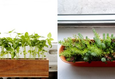 The Sill  Terrain Planting a Window  Box The BLOG at 