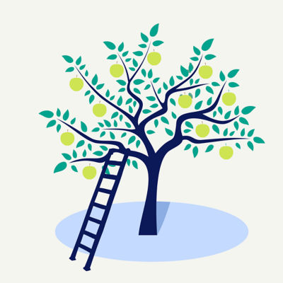 Illustration of a ladder leaned against a tree with green apples