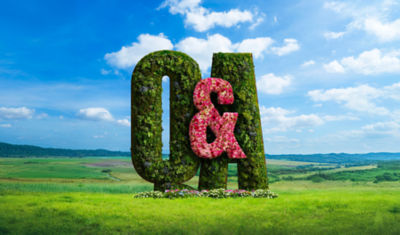 A hedgerow and flowers form the shape of a Q&A.