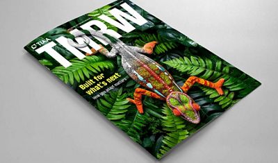 Cover of TIAA's TMRW magazine, Issue 7, April 2025. The cover features a vibrant, colorful chameleon resting on lush green tropical foliage.