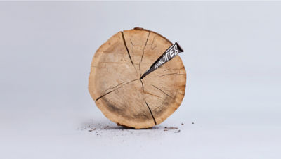 Click image of Tree cross section with annuities wedge in it Opens in new window