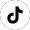 TikTok Icon