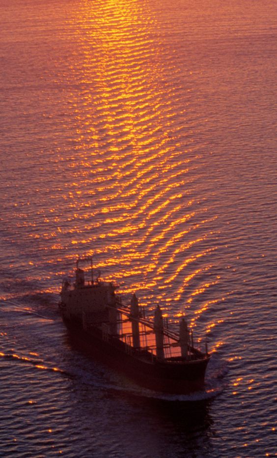 A cargo ship moving across the ocean is lit by the sunset.