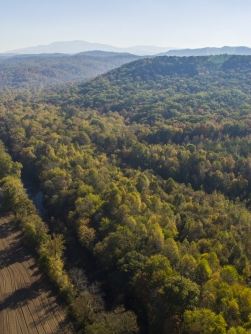 A picture of Cherokee National Forest where 1,500 acres are protected by Volkswagen of America and The Conservation Fund.