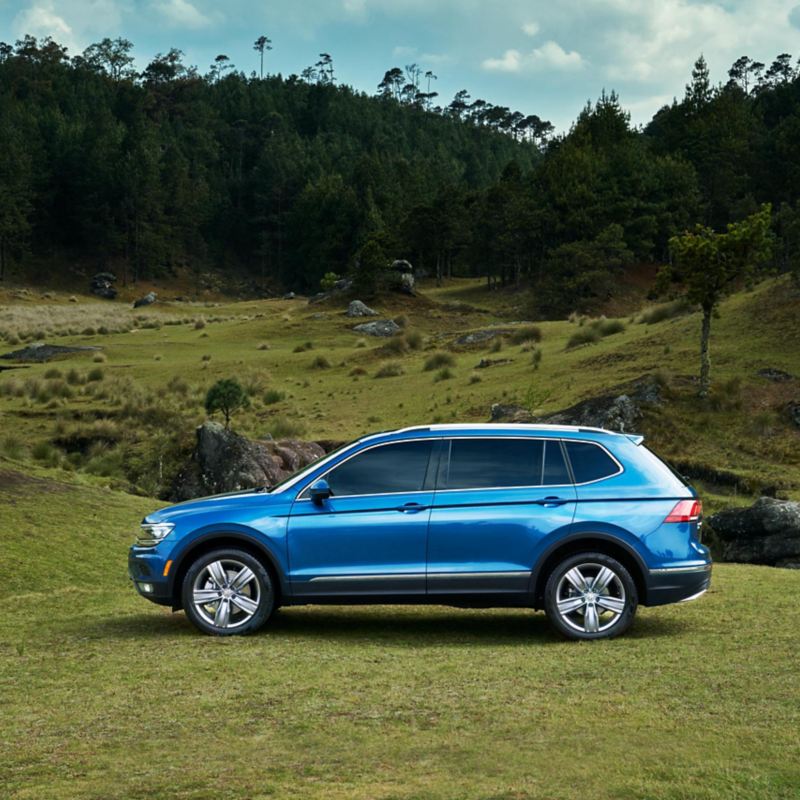 Silhouette of pre-owned silk blue metallic Volkswagen Tiguan parked and surrounded by a vibrant green pasture. 
