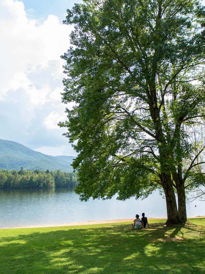 A couple observes a lake while sitting in the shade of a large tree.