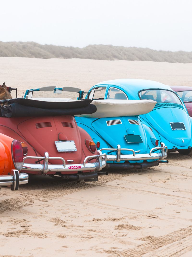 Vintage Volkswagen vehicles lined up on the beach