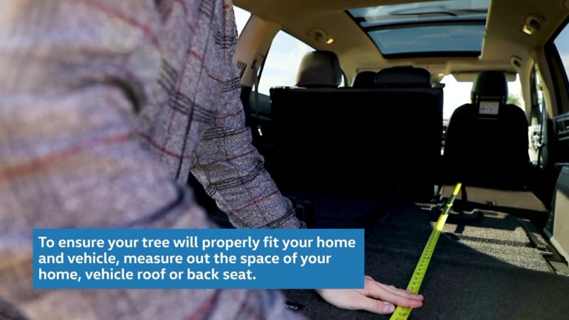 To ensure your tree will properly fit your home and vehicle, measure out the space of your home, vehicle roof or back seat.