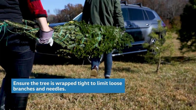 Ensure the tree is wrapped tight to limit loose branches and needles.