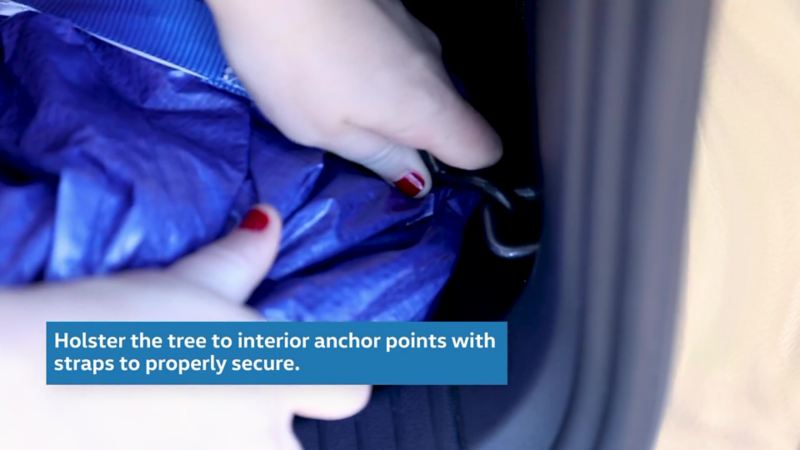 Holster the tree to interior anchor points with straps to properly secure.