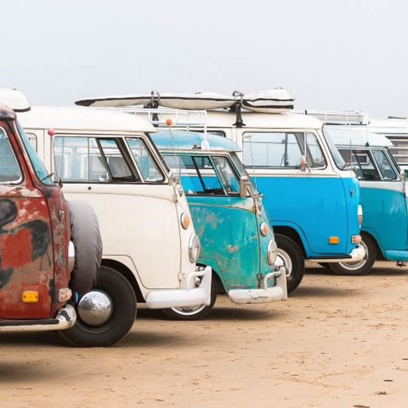Vintage Volkswagen buses lined up on the beach