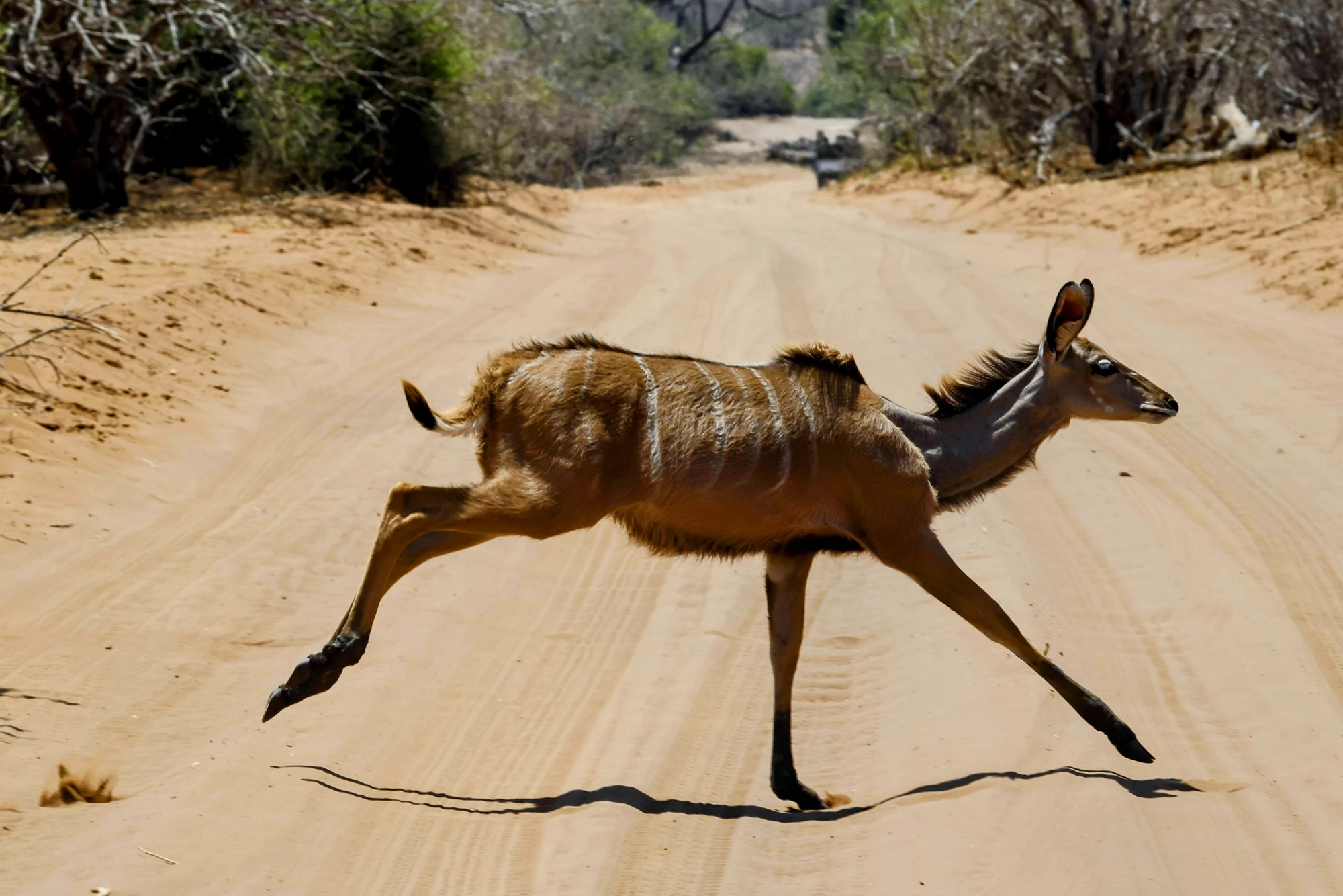 Risk and Resilience in the Era of Climate Change