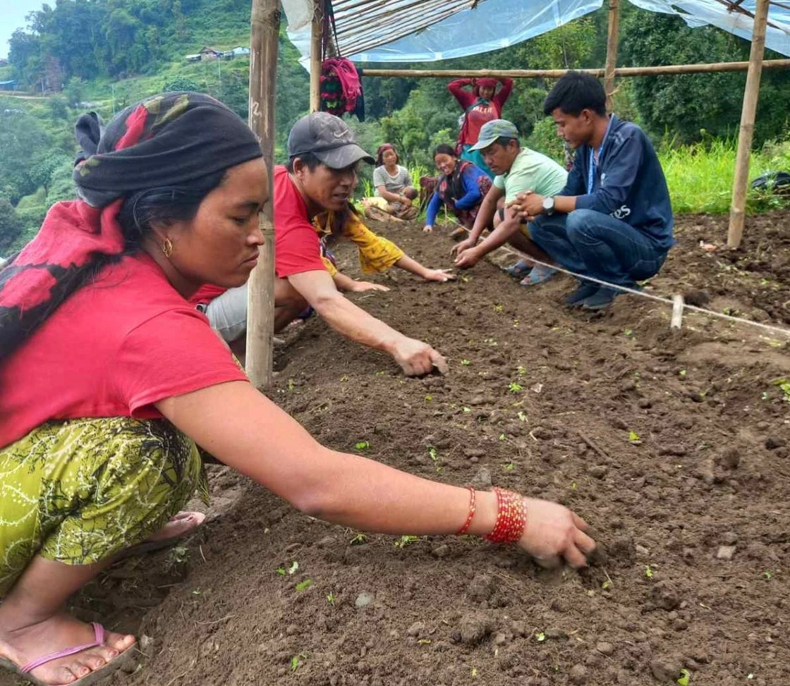 Farmers of Simbu Village in Nepal prepare bed for new crops