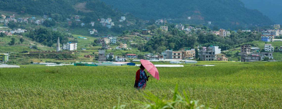 A woman in the fields in Nepal