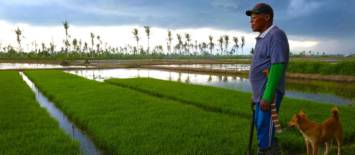 Ulderico Parado over looks his rice fields in Cagao Village in Palo, Leyte. Photo © Dominic Chavez/World