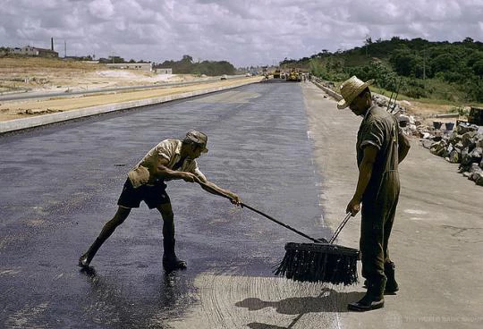 PAHO/WHO Office in Brazil promotes a Meeting Road Safety